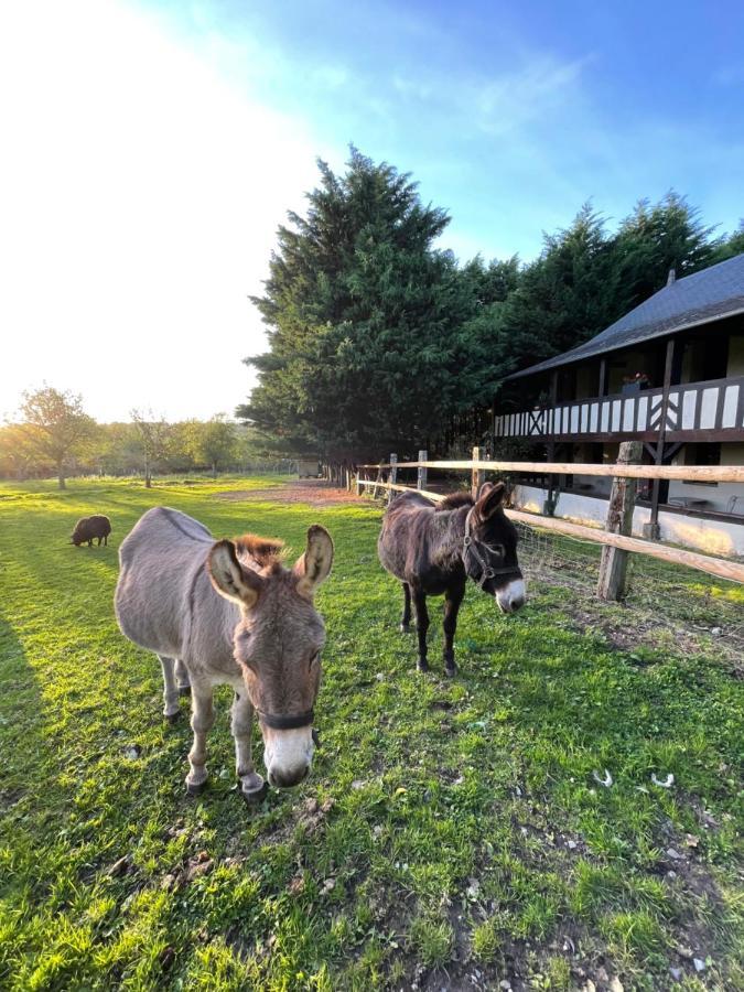 Domaine De Geffosse Hotel Pont-Évêque Eksteriør billede